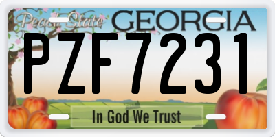 GA license plate PZF7231
