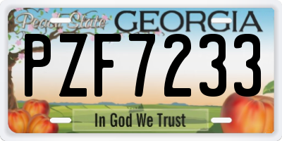 GA license plate PZF7233