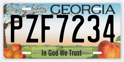 GA license plate PZF7234