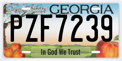 GA license plate PZF7239