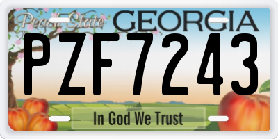GA license plate PZF7243