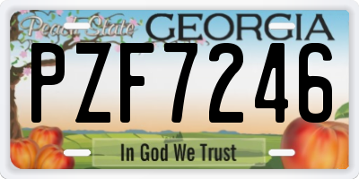 GA license plate PZF7246