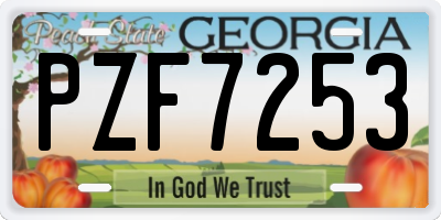 GA license plate PZF7253