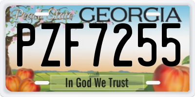 GA license plate PZF7255