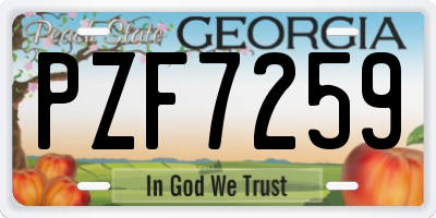 GA license plate PZF7259