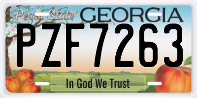 GA license plate PZF7263