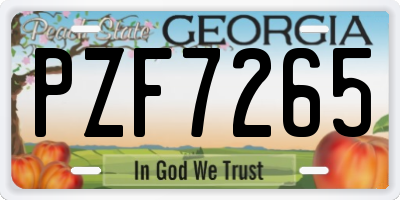 GA license plate PZF7265