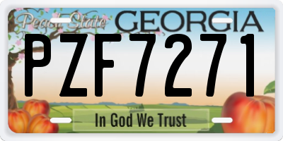 GA license plate PZF7271