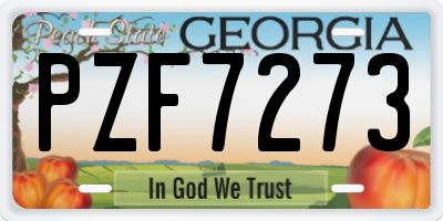 GA license plate PZF7273