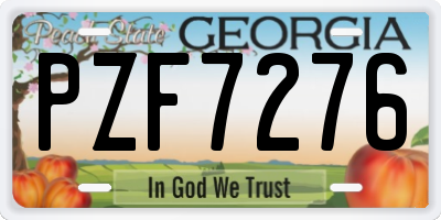 GA license plate PZF7276