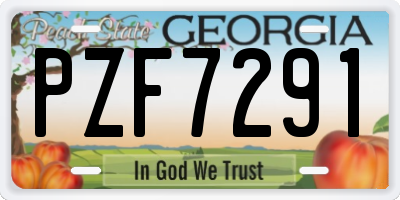 GA license plate PZF7291