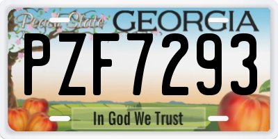 GA license plate PZF7293