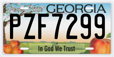 GA license plate PZF7299
