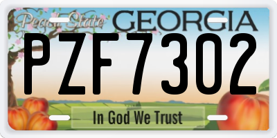 GA license plate PZF7302