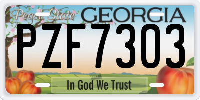 GA license plate PZF7303