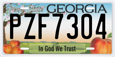 GA license plate PZF7304