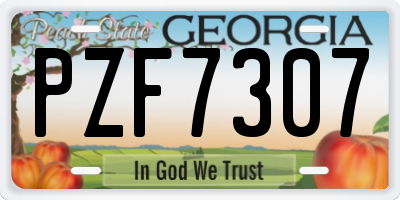 GA license plate PZF7307