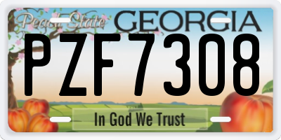 GA license plate PZF7308