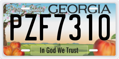 GA license plate PZF7310