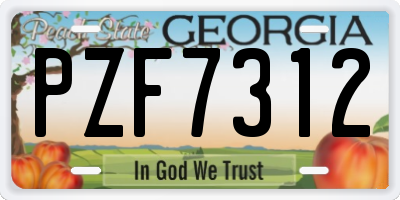 GA license plate PZF7312