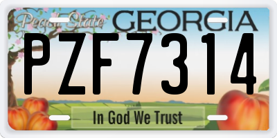 GA license plate PZF7314