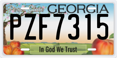 GA license plate PZF7315