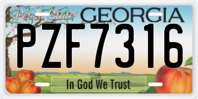 GA license plate PZF7316