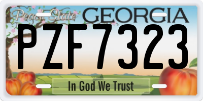 GA license plate PZF7323