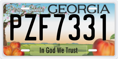 GA license plate PZF7331