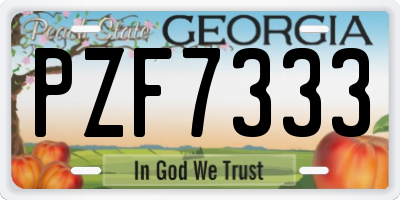 GA license plate PZF7333