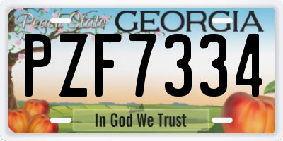 GA license plate PZF7334
