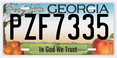 GA license plate PZF7335