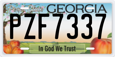 GA license plate PZF7337