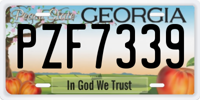 GA license plate PZF7339