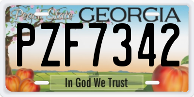 GA license plate PZF7342
