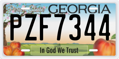 GA license plate PZF7344