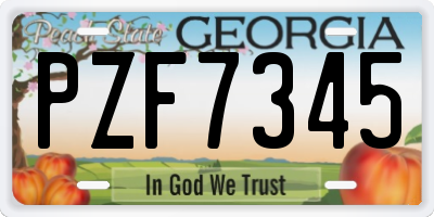 GA license plate PZF7345
