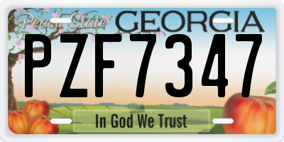 GA license plate PZF7347