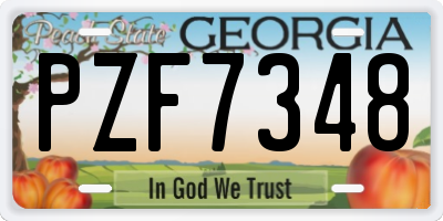 GA license plate PZF7348
