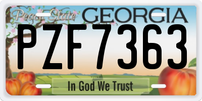 GA license plate PZF7363