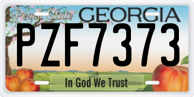 GA license plate PZF7373