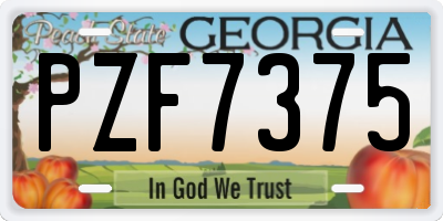 GA license plate PZF7375