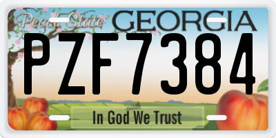 GA license plate PZF7384
