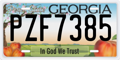 GA license plate PZF7385