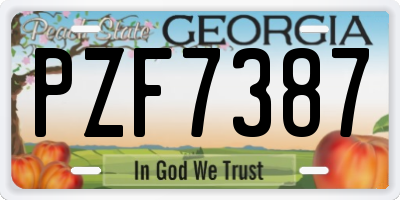 GA license plate PZF7387