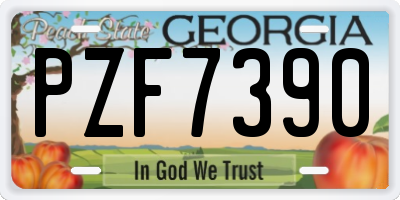 GA license plate PZF7390