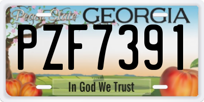 GA license plate PZF7391