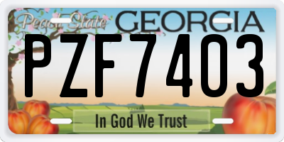 GA license plate PZF7403