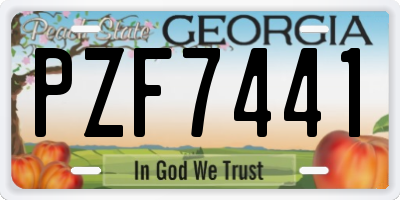 GA license plate PZF7441