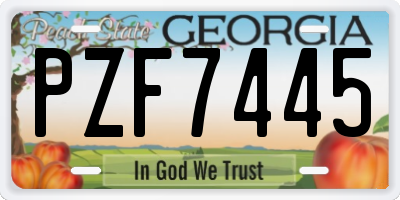 GA license plate PZF7445